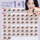 루트31