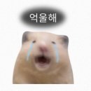 (주)코루파마 | 취미부자가 한 주를 보내는 법