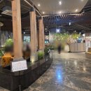 삼오식당 | 9층까지 올라가서 먹는 고기🥩 대전 삼오식당 방문 후기