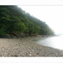 중왕뻘낙지 이미지