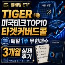 월배당 ETF 커버드콜, TIGER 미국테크TOP10타겟커버드콜 매일 1주 무한매수 실제 후기