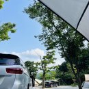 블루문캠핑장 | [가평 캠핑장 추천] 아이와 함께한 블루문 캠핑장 여름 캠핑 후기 & 여름 캠핑 꿀팁!