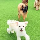 놀러오개 - 안양시 만안구 경수대로 1234 | 놀러오개