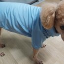 BYC매장앞 네이버블로그