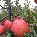 주산지공용정류장 | 신선 세계로의 초대, 경북 청송