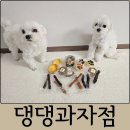 조이댕댕 | 대전 강아지 수제간식 둔산동 댕댕과자점 애견간식 찐 후기