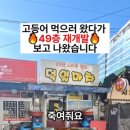 덕일개발