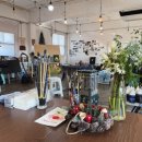 빠리화실 이미지