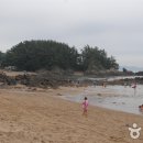 꾸지나무골해수욕장 이미지