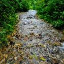 7월20일(일) 경반계곡 물길트레킹 이미지