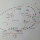 (비주) 제주도 여행 일정?? 이미지