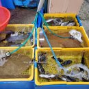 삼호상회 이미지