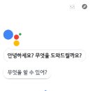 사전 및 번역(Translate)앱 사용법 모음 이미지