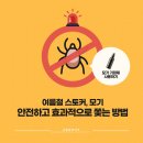 세종충대약국 이미지