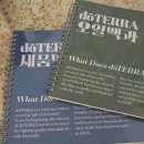 헬로쪼꼬씨