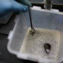 금강정비세차 이미지