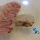 일산수산물시장