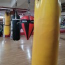 평촌 권투체육관 이미지