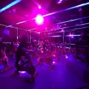 바디핏케어 휘트니스 이미지