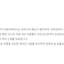 틴트어카용인포곡 네이버블로그