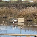 강변에서 이미지