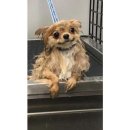 타바짐 | Merry Christmas&amp;4th Anniversary: 시칠리아 파스타바 크리스마스코스,하이디라오 대구, 스시하루나