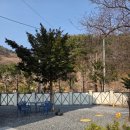 숲모텔 | 단양 여행 숙소 추천 리브몬트 호텔 방문 후기