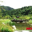 공작산생태숲 이미지