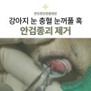 신현동물병원 이미지