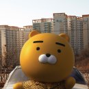 라이언 - 김천시 문화5길 18 | 라이언