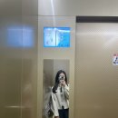 천고나비 : 가을 하늘은 높고 내가 살쪄