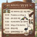 버드마트 | 싱가포르 버드 파라다이스 화식조 피딩 후기 및 오전 집중 동선 총정리