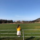 봉주목장 이미지