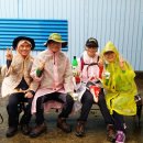 볼음도길 이미지