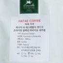 하태커피 이미지