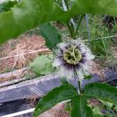 재열농장 이미지