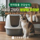 조은동물의료원 이미지