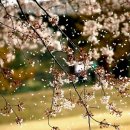 양장기능사 이미지