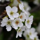 씨지테크 이미지