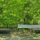 파회주차장 이미지