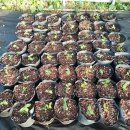 한나농장 이미지