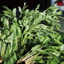 이종현농장 이미지