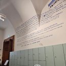 비엔나가볼만한곳, 클림트의 키스의 감동을 벨베데레궁전 미술관,티켓가격