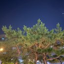 우석치과의원 이미지