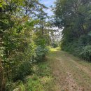 경기둘레길 양평29코스 이미지