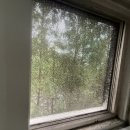 한솔어린이공원 내 이미지