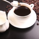 커피트리(COFFEE TREE) 이미지