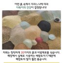 진토배기 이미지