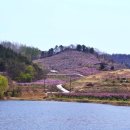 새마을로 이미지