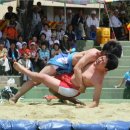 군민의날 이미지